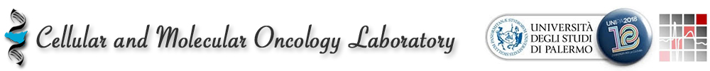 Cellular e Molecular Oncology Laboratory